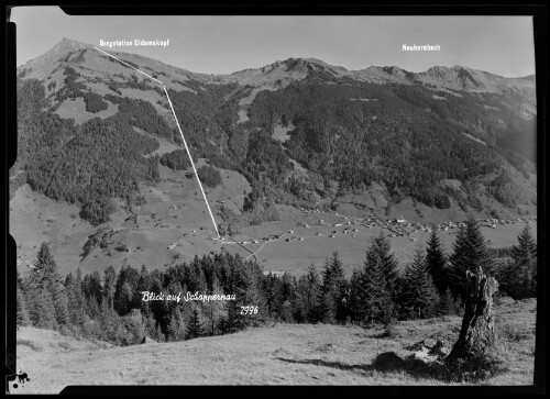 Blick auf Schoppernau : Bergstation Didamskopf : Neuhornbach
