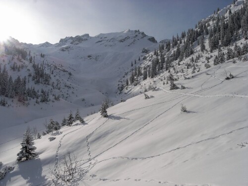 Raggal - Skitour im Faludrigatal