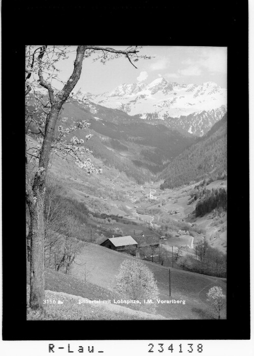 Silbertal mit Lobspitze / Montafon / Vorarlberg : [Blick von Innerberg bei Bartholomäberg gegen Silbertal mit Loobspitze]