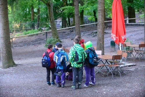 Rankweil - Hauptschule - Exkursion in den Wildpark Feldkirch