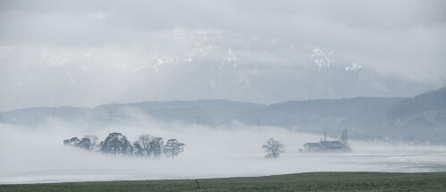 Schlins - Feld mit Nebel