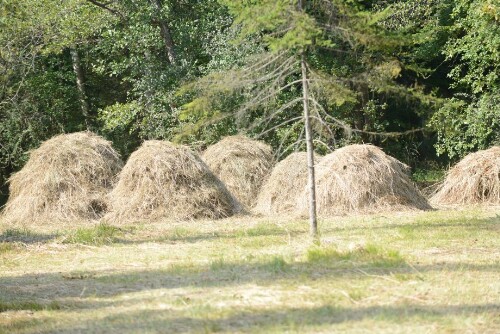 Schlins - Turbastall - Exkursion