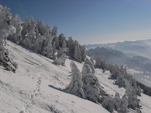 Thüringerberg - Skitour zum Hochgerach