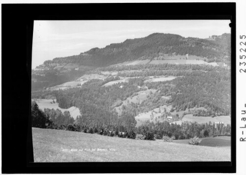 Blick auf Fluh bei Bregenz