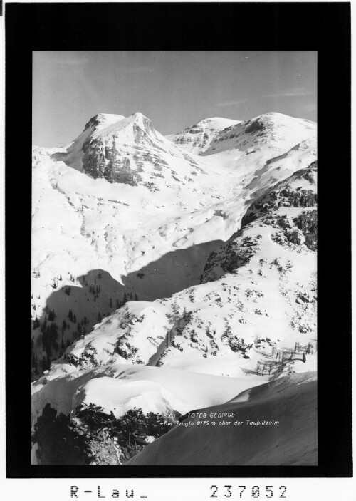 Totes Gebirge / Die Tragln 2175 m ober der Tauplitzalm : [Blick vom Schneiderkogel]