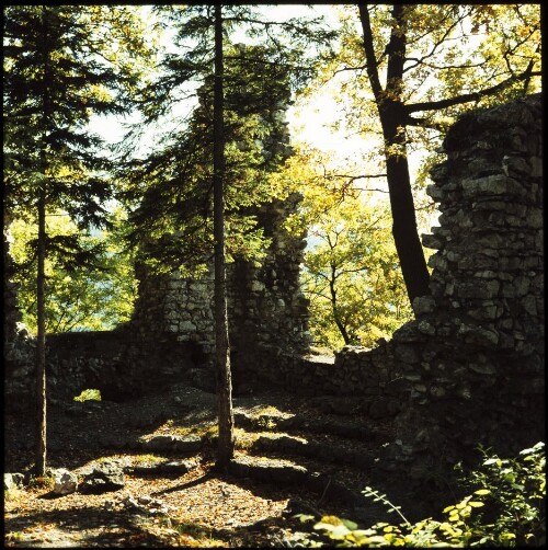 Neuburg - Ruine (Detail)