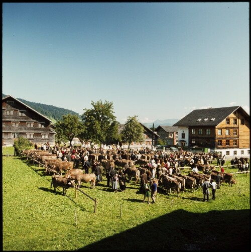 Viehmarkt in Schwarzenberg
