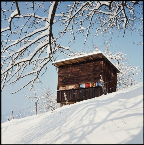 Bienenhaus im Winter