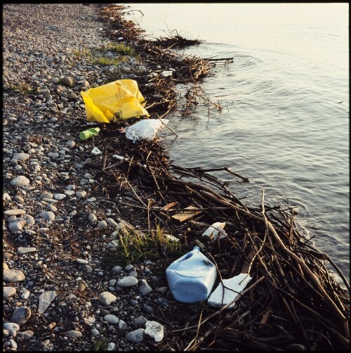 Uferverschmutzung am See