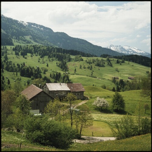 Bauernhäuser im Bregenzerwald