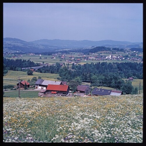 Streusiedlung in Lingenau