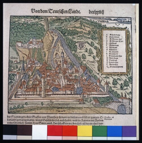 Feldkirch Buch - diverse Urkunden