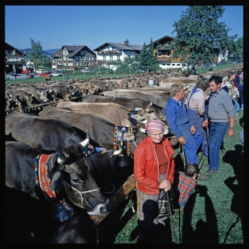 Viehmarkt in Alberschwende