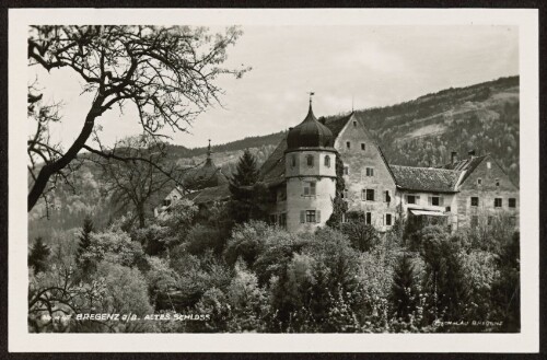 Bregenz a/B. Altes Schloss