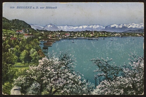 Bregenz a. B. zur Blütezeit : [Postkarte ...]