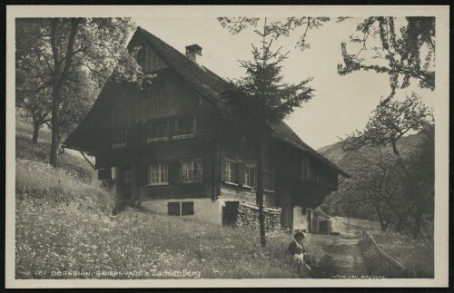 Dornbirn - Bauernhaus a. Zansenberg
