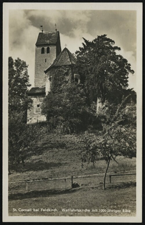 St. Corneli bei Feldkirch : Wallfahrtskirche mit 1000jähriger Eibe