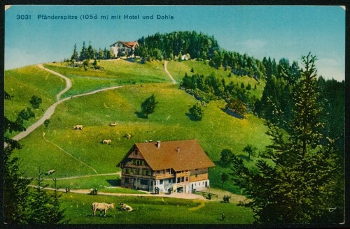 [Lochau] Pfänderspitze (1056 m) mit Hotel und Dohle