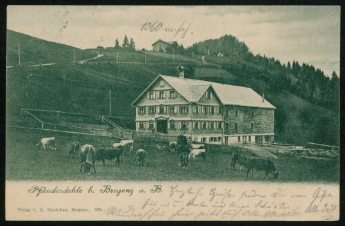 [Lochau] Pfänderdohle b. Bregenz a. B. : [Postkarte Carte postale ...]