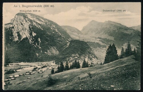 Au i. Bregenzerwalde (800 m) : Mittagsfluh 1639 m : Didamskopf (2092 m)