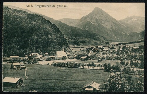 Au i. Bregenzerwalde (800 m)