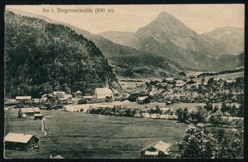 Au i. Bregenzerwalde (800 m)