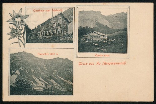 Gruss aus Au (Bregenzerwald) : Gasthaus zum Edelweiß : Öberle Alpe : Canisfluh 2047 m : [Korrespondenzkarte ...]