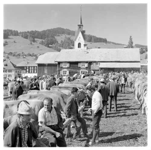 Viehmarkt in Schwarzenberg