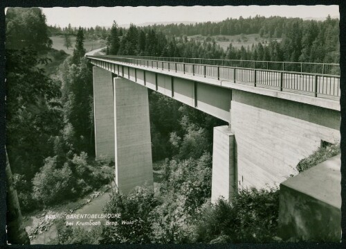 Bärentobelbrücke bei Krumbach Breg. Wald